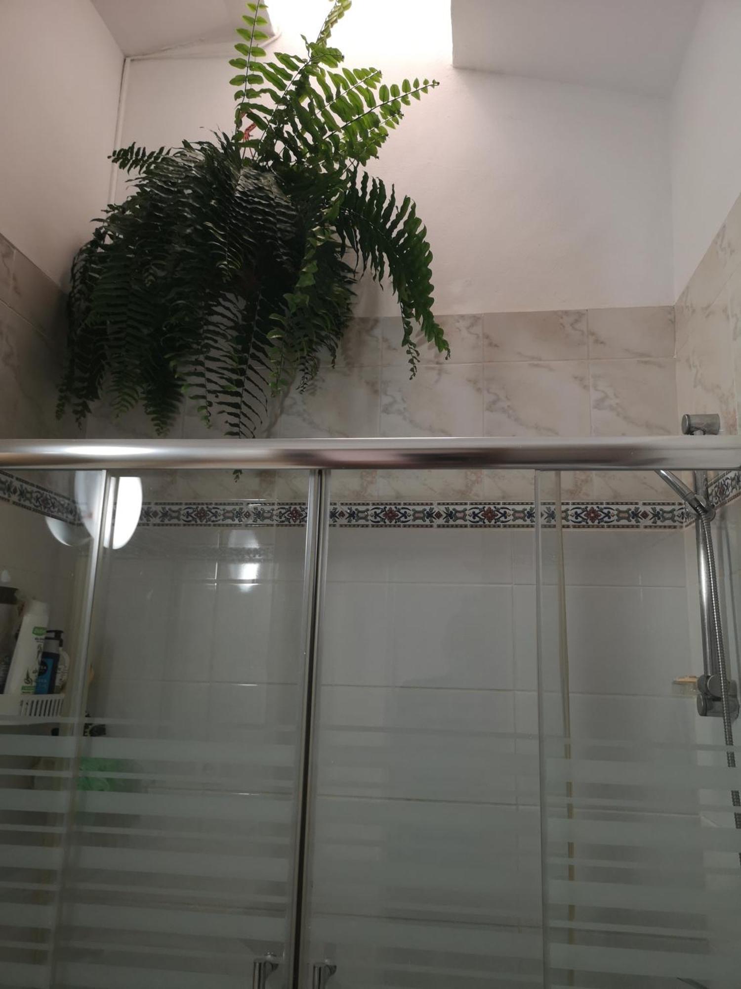 Yumbo Room Maspalomas  Eksteriør bilde